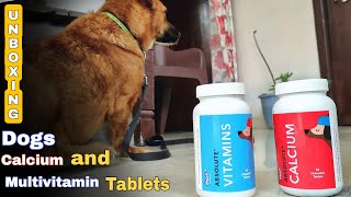 Dogs Calcium and Multivitamins Tablets  Drools  Pets Health  Solution For Dogs Weak Health [upl. by Wolf]