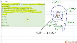 Select the correct statements s regarding the structure of a mature embryo sac i Egg appara [upl. by Ennayelsel]