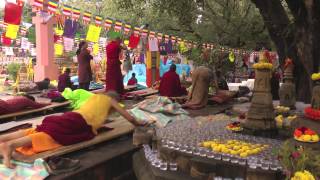 On the Path of the Buddha Buddhist Pilgrimage in North India and Nepal [upl. by Halladba]