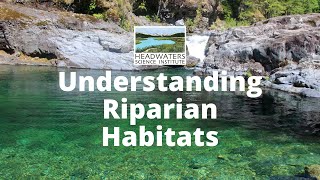 Weekly Science Challenge Understanding Riparian Habitats [upl. by Eidolem]