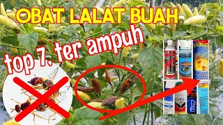 7 OBAT LALAT BUAH TER AMPUH INSEKTISIDA TERGANASS [upl. by Keyser]