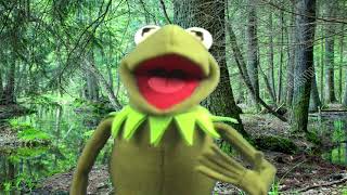 The Muppets  Kermit The Frog singing quotIts Not Easy Being Greenquot Replica Variant 60fps [upl. by Justino]