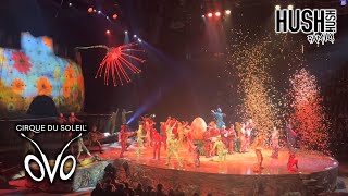 Cirque Du Soleil oVo Circus Highlights 2024 [upl. by Eladnar]