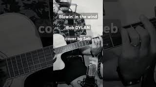 Blowin in the wind  Bob DYLAN  cover by Seb [upl. by Carol-Jean]