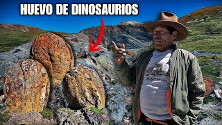 Increíble Encontramos Huevos de Dinosaurio de hace Millones de Años [upl. by Merchant]