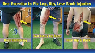 ONE Exercise to FIX Any Lower Body Injury  Hips Legs and Low Back [upl. by Dudden24]