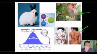 Advanced Classical Genetics Part 3 Genetic Relationships Part 2 [upl. by Lesak425]