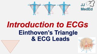 Introduction to ECG  The Basics  Einthoven’s Triangle Limb Augmented and Precordial Leads [upl. by Sage]