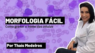 Contagem de Hemácias na Câmara de Neubauer  Hemoglobina  Reticulócitos [upl. by Nahsar]