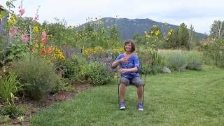 Tai Chi Fundamentals Program Short Form Seated Demo [upl. by Ahsiea]