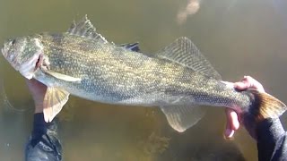 Lure Fishing 96  Spillway Jig Fishing for Big Walleye and Northern Pike [upl. by Jegar840]