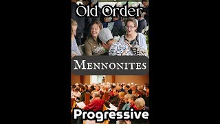 The Mennonite Range From Old Order to Most Progressive [upl. by Sherborne]