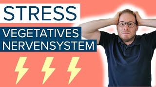 ⚡Stress und vegetatives Nervensystem  Ist das der Grund für deine Beschwerden [upl. by Asel145]