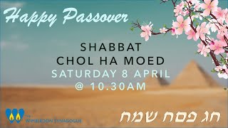 Pesach  Passover 2023  Shabbat Chol HaMoed Morning Service  8 April [upl. by Licht]