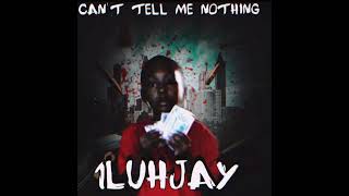 1luhjaycan’t tell me nothing official visulizer [upl. by Rhine]