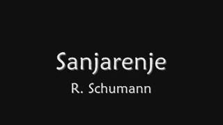 R Schumann Sanjarenje [upl. by Col]