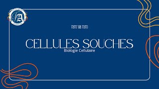 CELLULES SOUCHES  TUTO DU TUTO [upl. by Etnoved13]