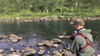 Salmon fishing in river TenoTana tributaries [upl. by Milas]