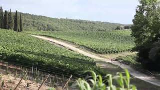 quotSlow Moodquot VIDEODOCUMENTARIO Greve in Chianti [upl. by Kuebbing]