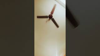 CeilingFan video sound satisfying funny ceilingfan viralvideo fb yt ytshorts youtubeshorts [upl. by Ambrosio512]