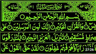 Surah Yasin Yaseen asudais Full With Arabic yasin  Beautiful recitationیس سورہ [upl. by Annenn]