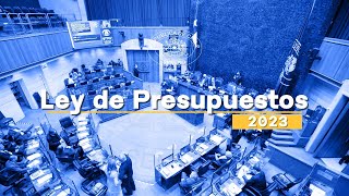 Ley de Presupuestos 2023 ¿Qué es el ciclo presupuestario [upl. by Kcirddehs]