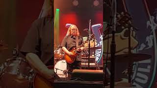 Warren Haynes Govt Mule  LIVE  420Fest Short 23 [upl. by Adnylam]