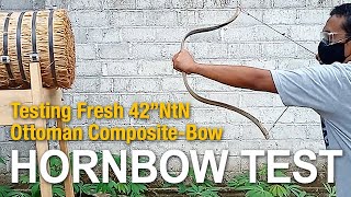 Testing New Composite Bow Hornbow [upl. by Pimbley997]