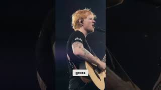 Ed Sheeran  Perfect Live 2024 A Romantic Journey with You concert edsheeran live performance [upl. by Octavus]