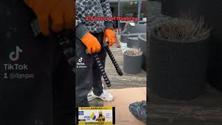 Powerflushing London with Adey Magnacleanse amp powerflush machine HALLOWEEN Heating Horror [upl. by Airlia]