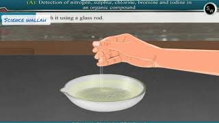 Detection of nitrogen sulphur chlorine bromine and iodine in an organic compound Class 11 Chemistry [upl. by Hafirahs]