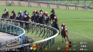 13 October 2024 Horse race G1 JRA 2000 [upl. by Strauss381]