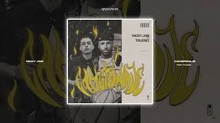 Cangrinaje  Nicky Jam Trueno speed up [upl. by Sillihp]