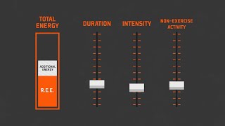 Resting Energy Expenditure [upl. by Batruk]