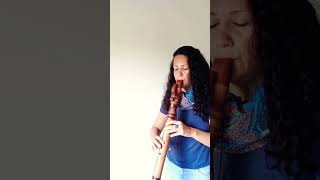 Native American Flute C 432hz [upl. by Ahsilac378]