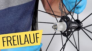 Fahrrad Freilauf austauschen  einfach amp schnell  Fahrradorg [upl. by Lothaire]