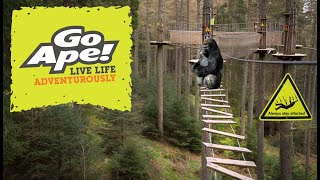 Go Ape Tree Top Adventure  Delamere Forest [upl. by Theone]