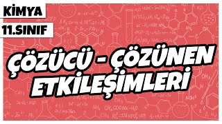 11 Sınıf Kimya  Çözücü  Çözünen Etkileşimleri  2022 [upl. by Corilla]