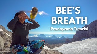 How To Do Bhramari Pranayama To Calm Anxiety  Bees Breath [upl. by Odravde]