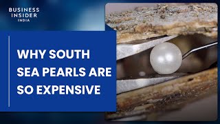 Why South Sea Pearls Are So Expensive  So Expensive [upl. by Elacim]