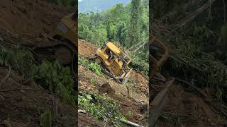 Speed and Precision D6R XL Bulldozers in Palm Oil Clearing dozers [upl. by Noremak]