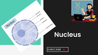 Nucleus l Structure of nucleus l Chromosome l cell structure and function l XI biology [upl. by Eimma]