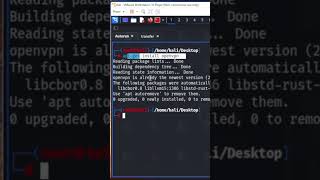 How to connect to openvpn from linux openvpn [upl. by Annaigroeg]