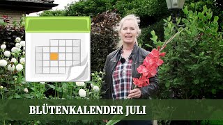 Blütenkalender Juli  Phlox Monarda Euodia Buddleja Spirea Dahlie [upl. by Anitnauq]