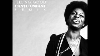 Nina Simone  Feeling good David Oniani Remix [upl. by Conias]