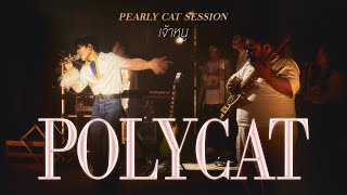 POLYCAT  เจ้าหนู  14 PEARLY CAT SESSION [upl. by Airdnahs]