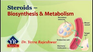 Steroids  Biosynthesis amp Metabolism  Biosynthesis and Metabolism of Steroids  YR Pharma Tube [upl. by Ahsikat]