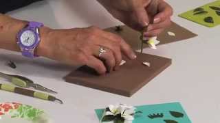 How to Use Sizzix Stephanotis Flower Die [upl. by Micaela]