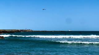 Lyall Bay Surf Beach surfers corner by Wellington International Airport  300924 [upl. by Elbon]