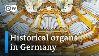 Heavenly Sounds  The Organ and its Fascinating Versatility  Music Documentary [upl. by Russian254]